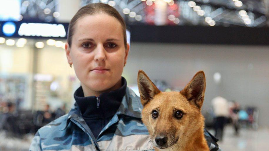 Aeroflot : à l'avant-garde de l'innovation canine