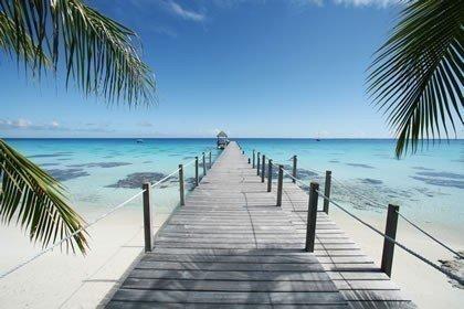 fakarava-gregoire-le-bacon