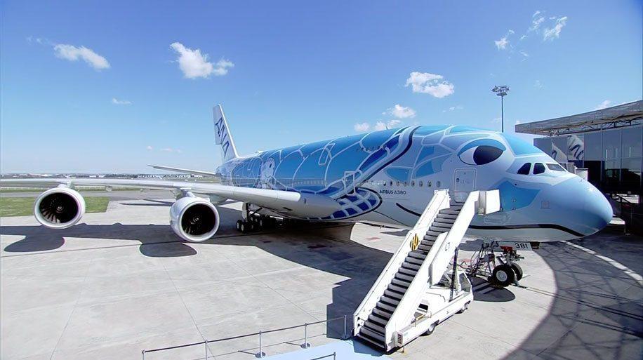 ana a380 tortuedemer