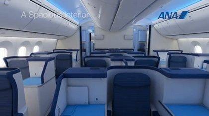 ana-classe-affaires-dreamliner