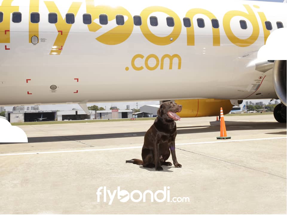 L’Argentine : un marché prometteur?