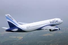 indigo-airbus