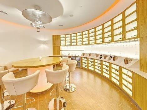 skyteam dubai salon