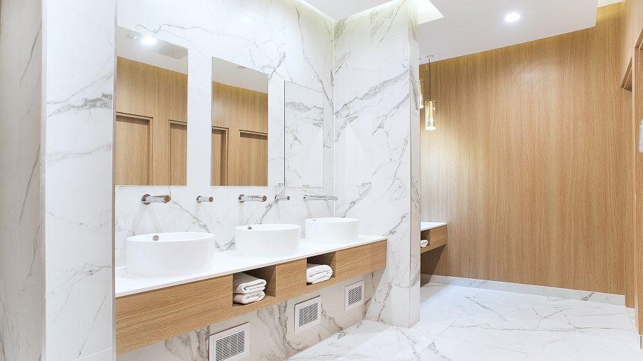 skyteam salon toilette