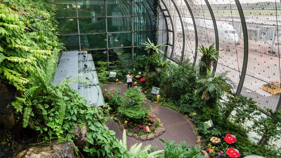 jardin papillons changi