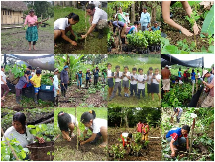 Les Maisons du Voyage plantent des arbres