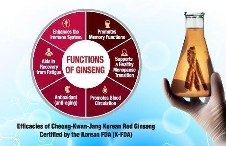 ginseng recherche