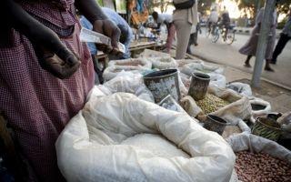 faim-dans-le-monde-fao