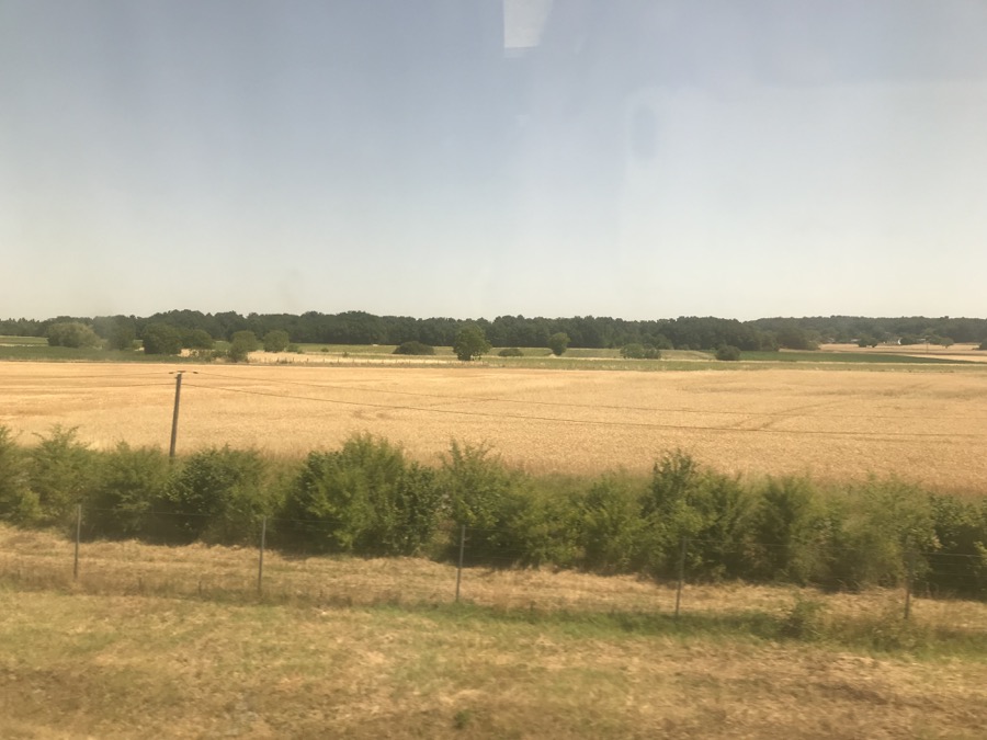 Pourquoi une telle canicule en 2025