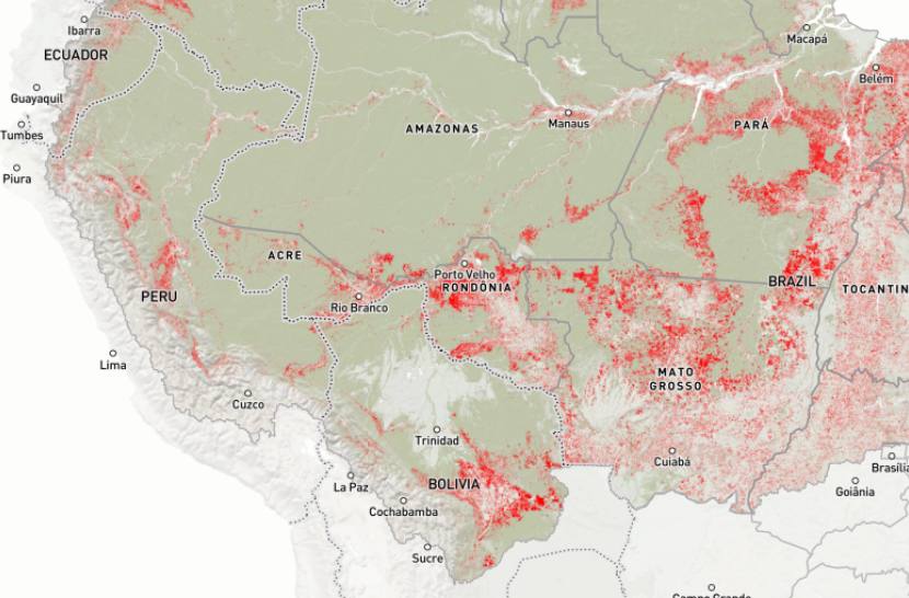 Les incendies en Amazonie accentuent la déforestation
