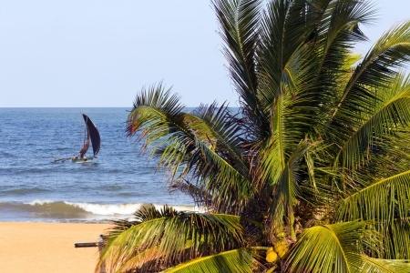 plage-negombo-sri-lanka