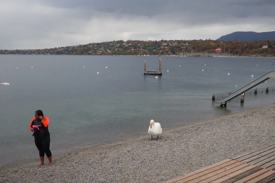 geneve bain paquis baigneur
