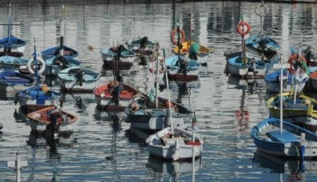 algerie-alger-bateaux