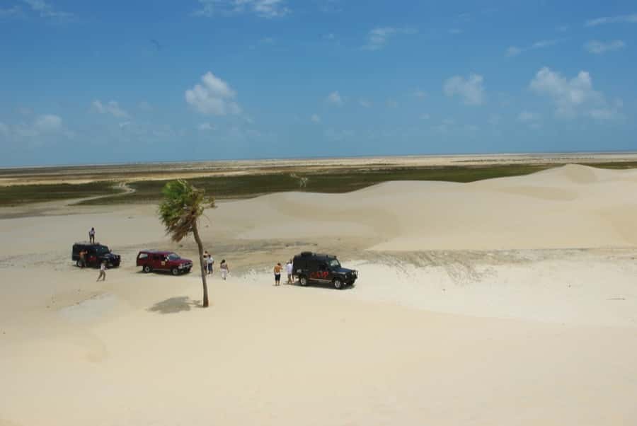 jeep amazonie