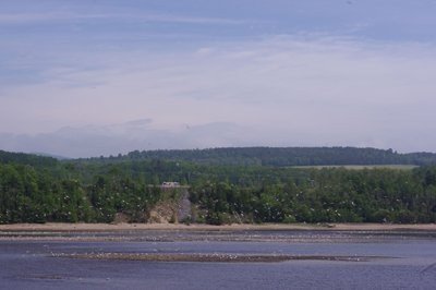 oiseaux-saint-laurent