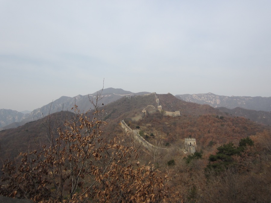 Chine : une politique 0 Covid oppressante pour les habitants