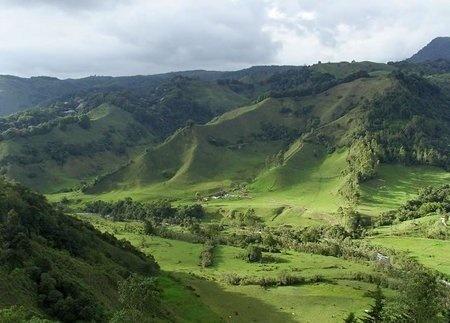 region-cafe-cocora