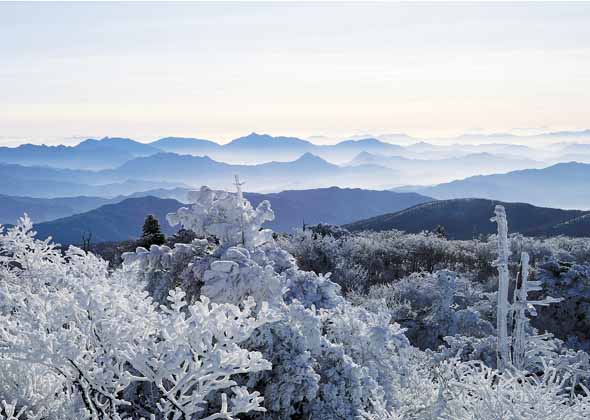 Corées : vers une paix durable?