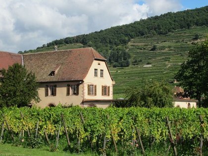 kayserberg-vignoble-weinbach