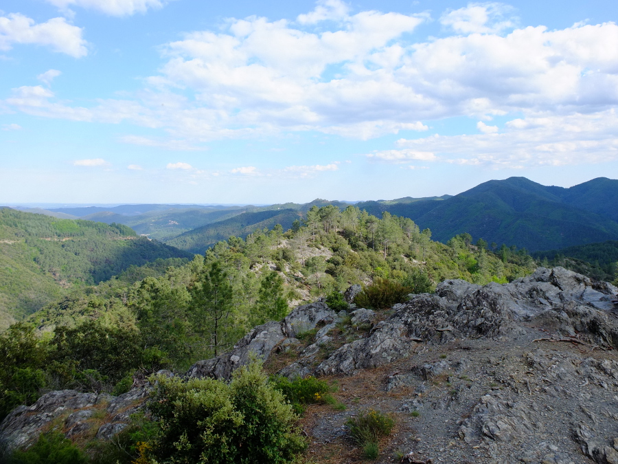 En Forêt : un livre inspirant pour des balades sylvestres
