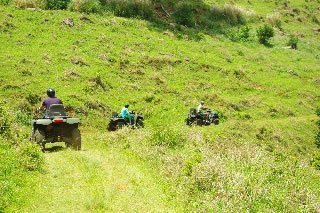 ile-maurice28-bel-ombre2