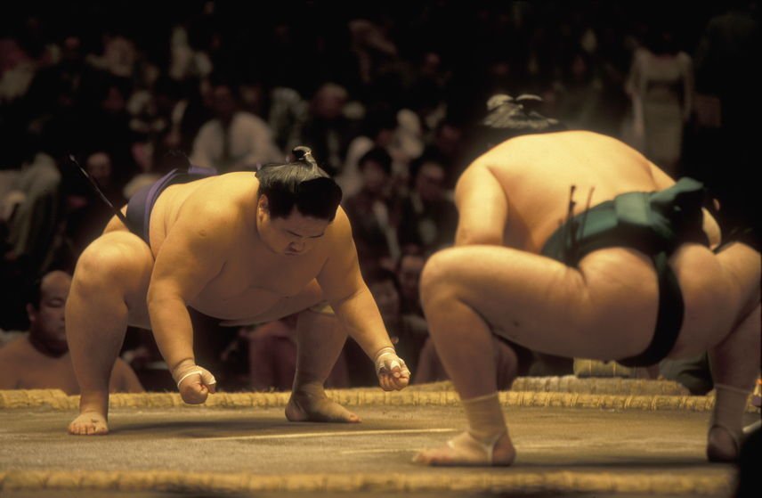 combat sumo