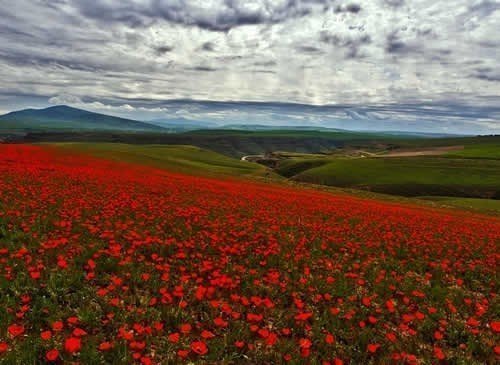 kazakhstan