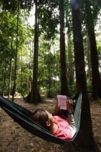 gunung-ledang-foret