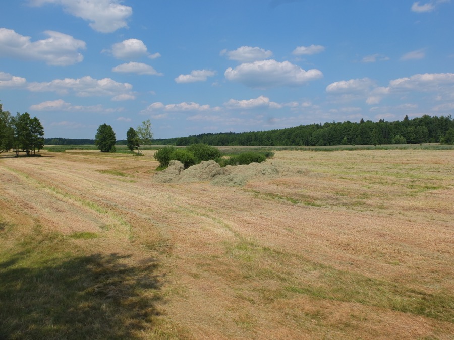 La Pologne rétablit les contrôles aux frontières