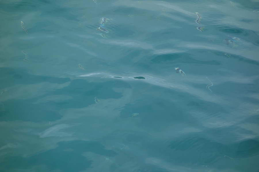 huahine eautranslucide