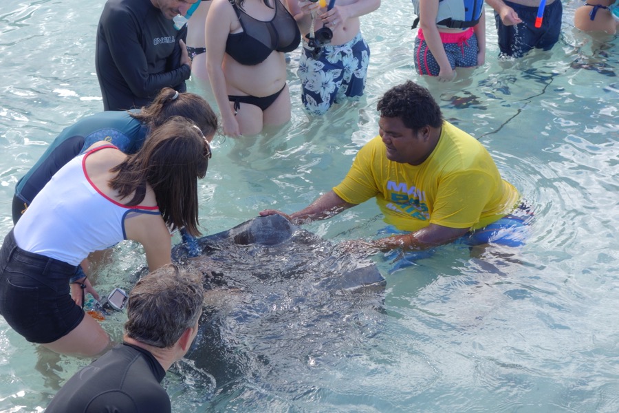moorea lagonarium raies