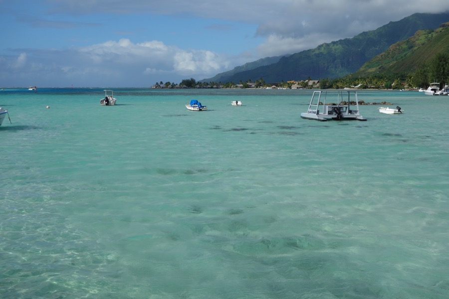 moorea laongtranslucide