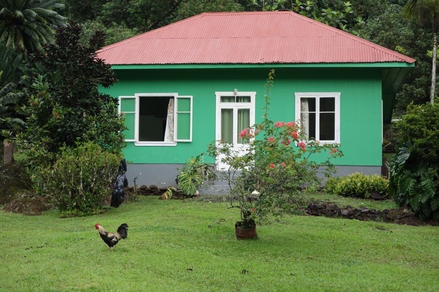 moorea maisoncoq