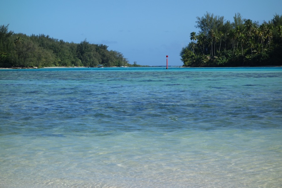 moorea motus translucide