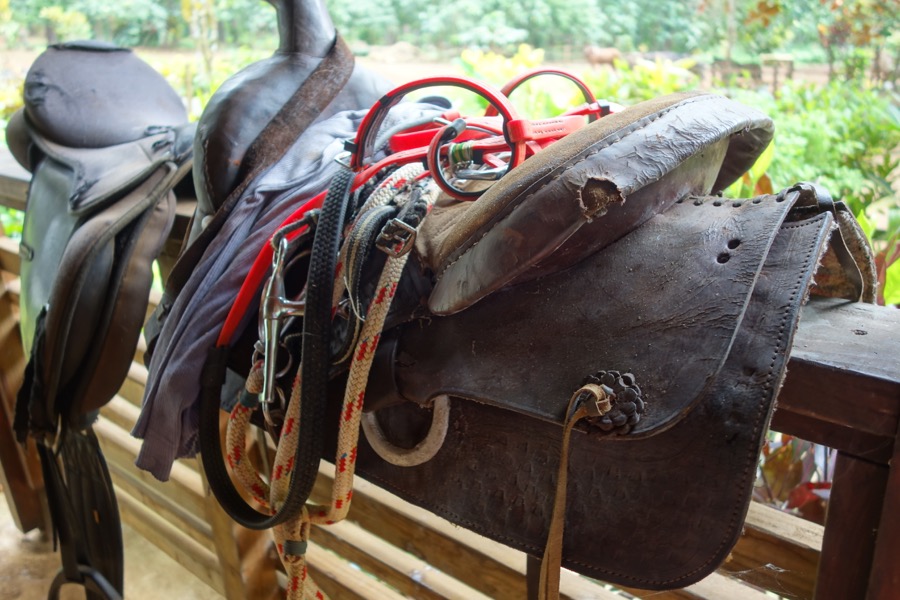 moorea ranche selle2