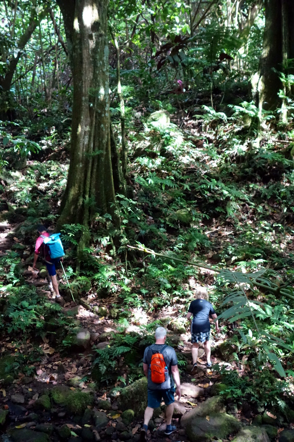 moorea rando vert small1