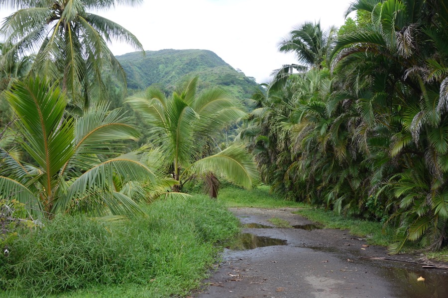 chemin tautira