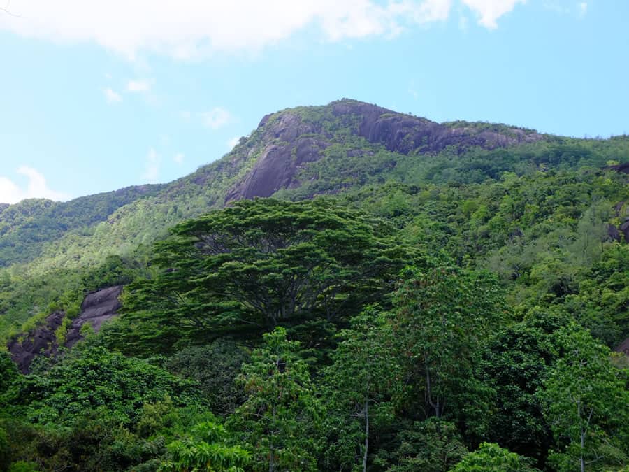 seychelles 0106 lmontagnesansemajor