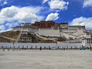 lhasa