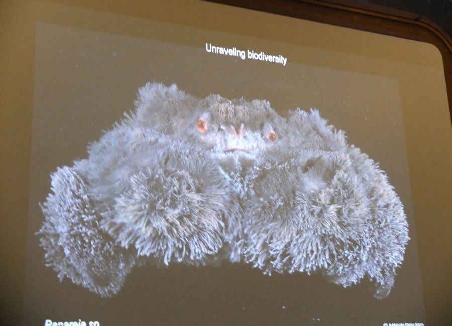 explorateurs80ans0418