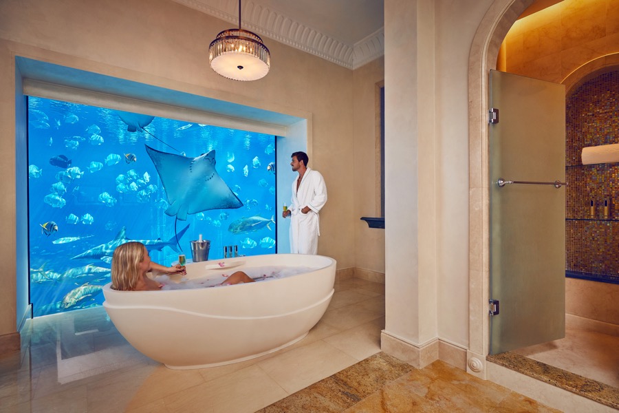 underwatersuite coupleinbathroom