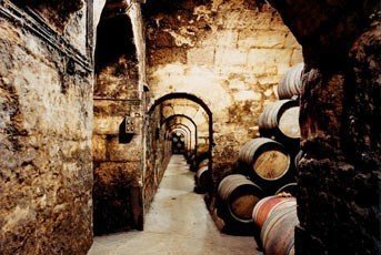 hotel-marques-de-riscal-caves