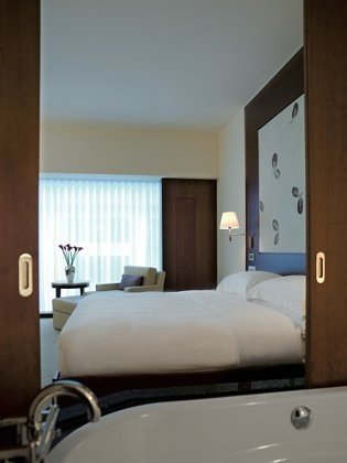 park-hyatt-zurich-park-king-room