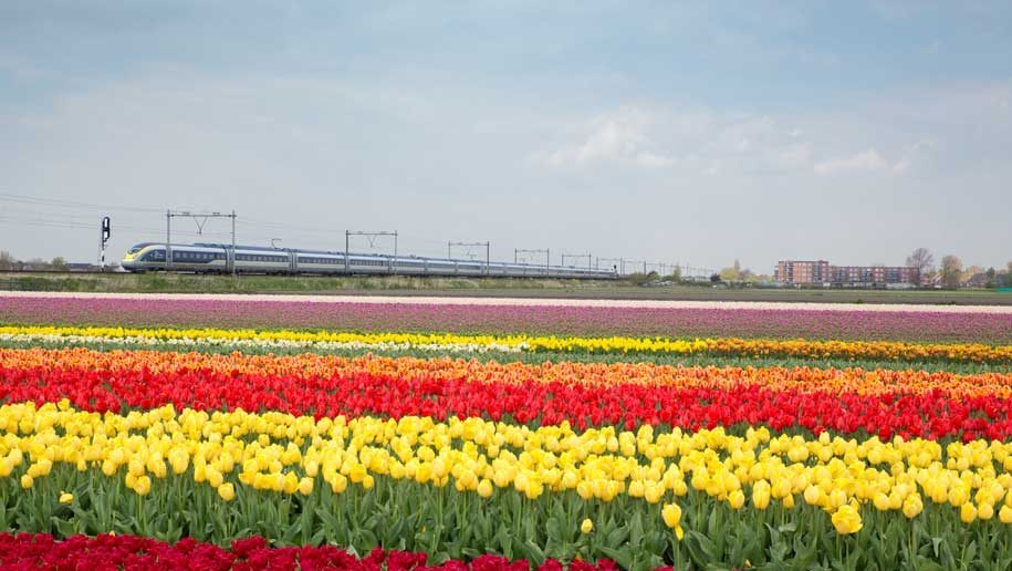 Eurostar ne déménagera pas de la gare d'Amsterdam Ceentral