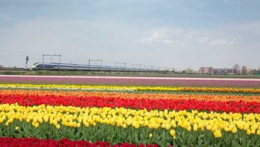 Eurostar : une offre très réduite cet hiver