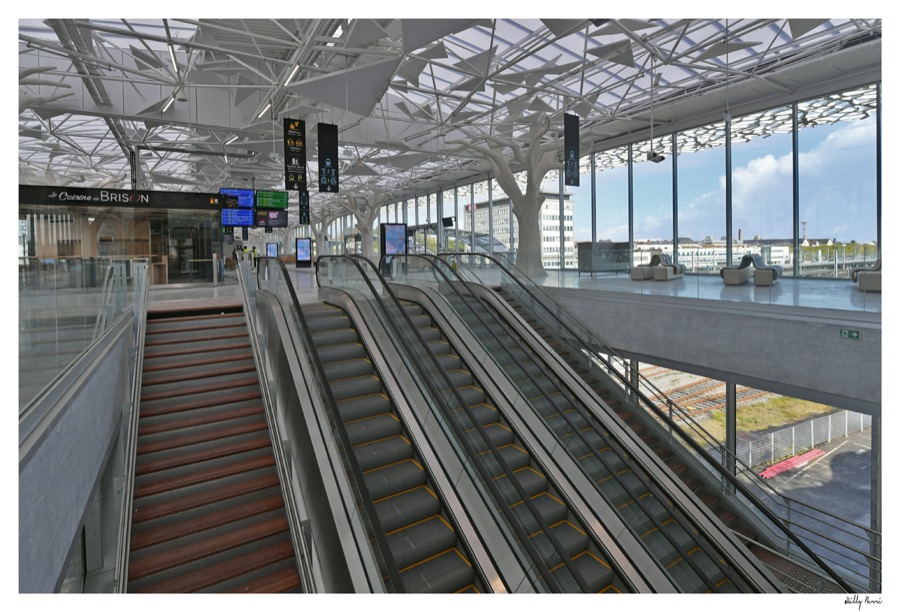 garenantes escalatorWilly.Berre